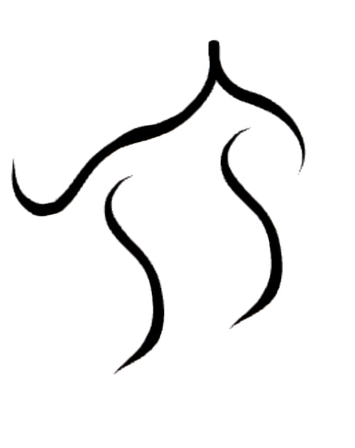 Auroa